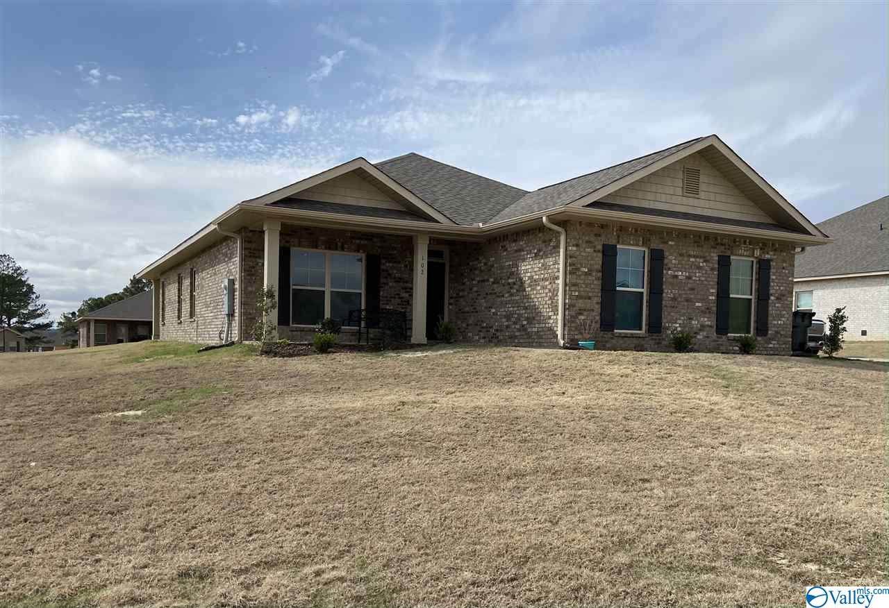 102 Pick Sack Lane - Photo 1