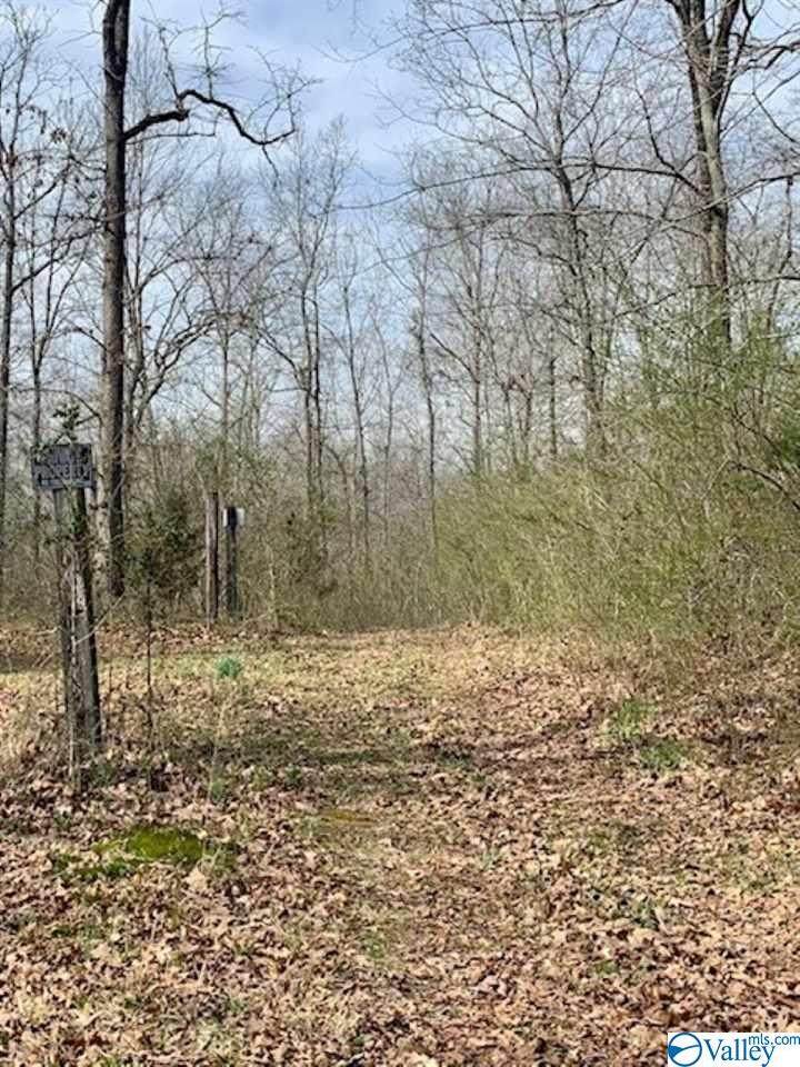 0 County Road 241 - Photo 1