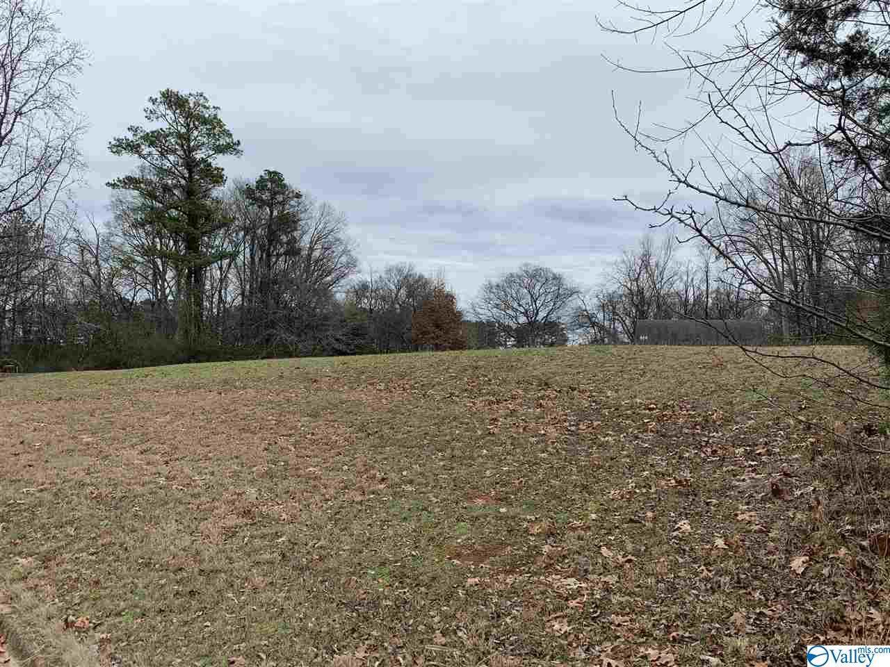 0 Hatchie Lane - Photo 1