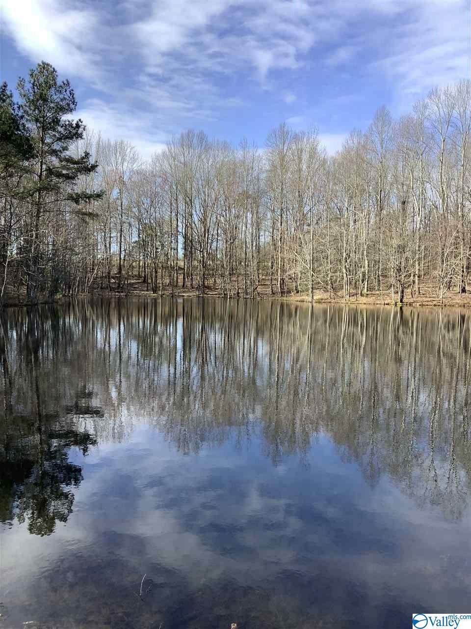 1364 County Road 281 - Photo 1