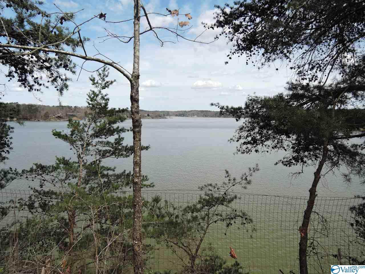 0 County Road 235 - Photo 1