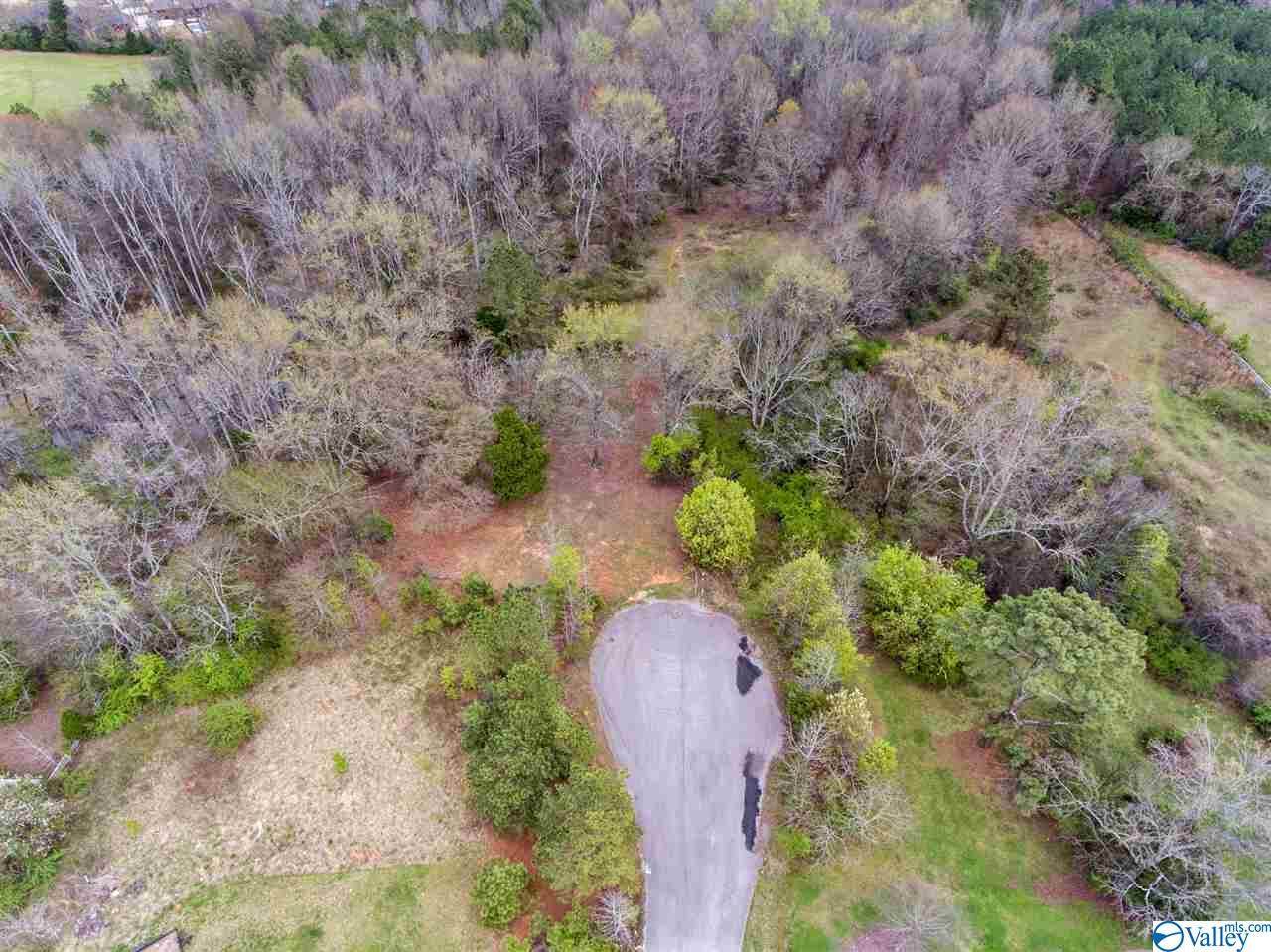 27107 Red Acres Lane - Photo 1