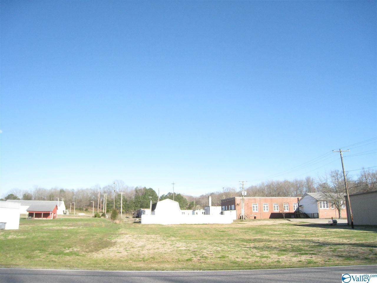 7292 Hwy 207 - Photo 1