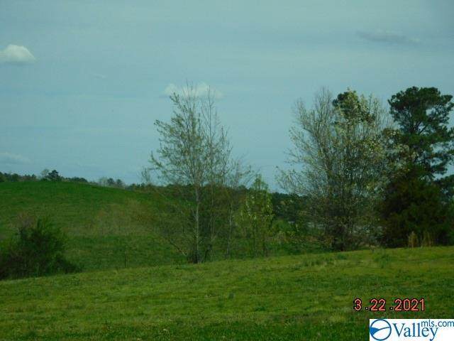 000 Hwy 431 - Photo 1
