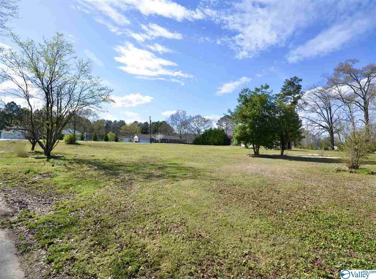 205 Mcreath Street - Photo 1