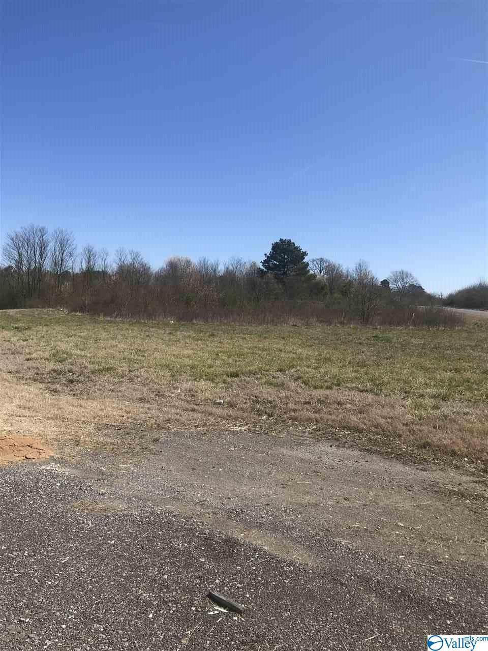 000 Hwy 75 - Photo 1