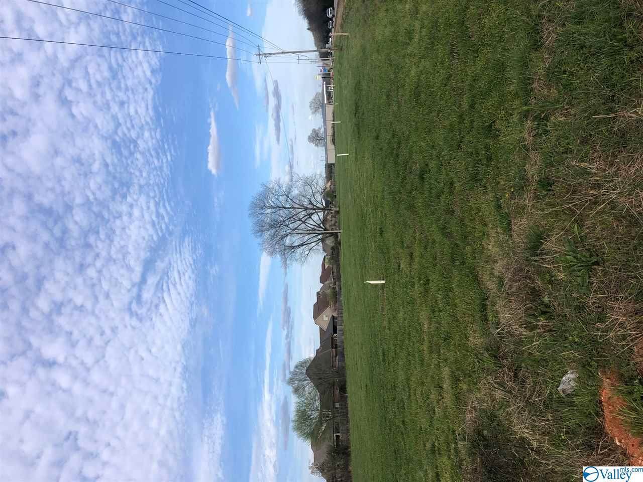 C3 Huntsville Brownsferry Road - Photo 1