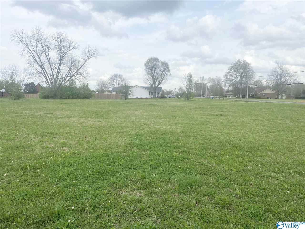 lot 21 Grady Lane - Photo 1