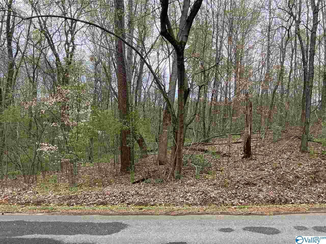252 Sharon Drive - Photo 1