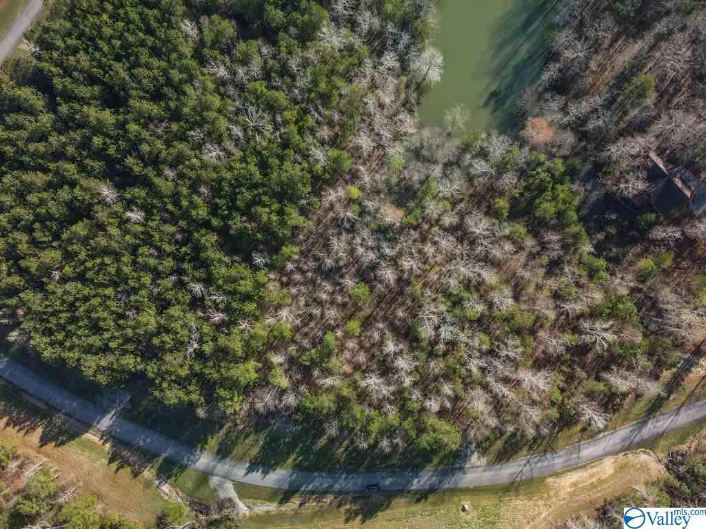 Lot 89 Stoney Point Landing - Photo 1