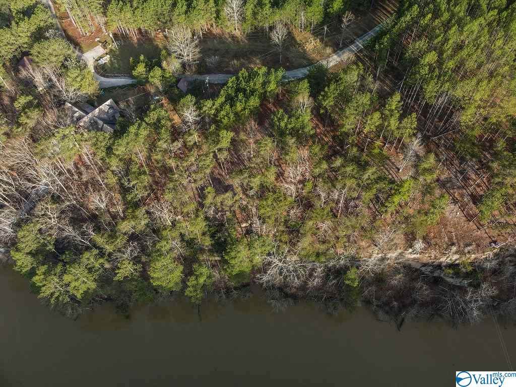Lot #13/13A Wilson Circle - Photo 1