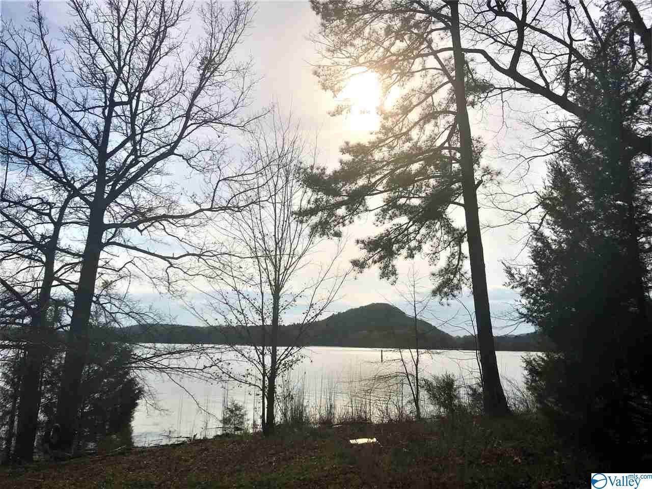 Lot 17 County Road 479 - Photo 1