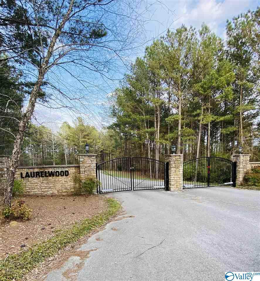 Lot 26 Laurel Wood - Photo 1