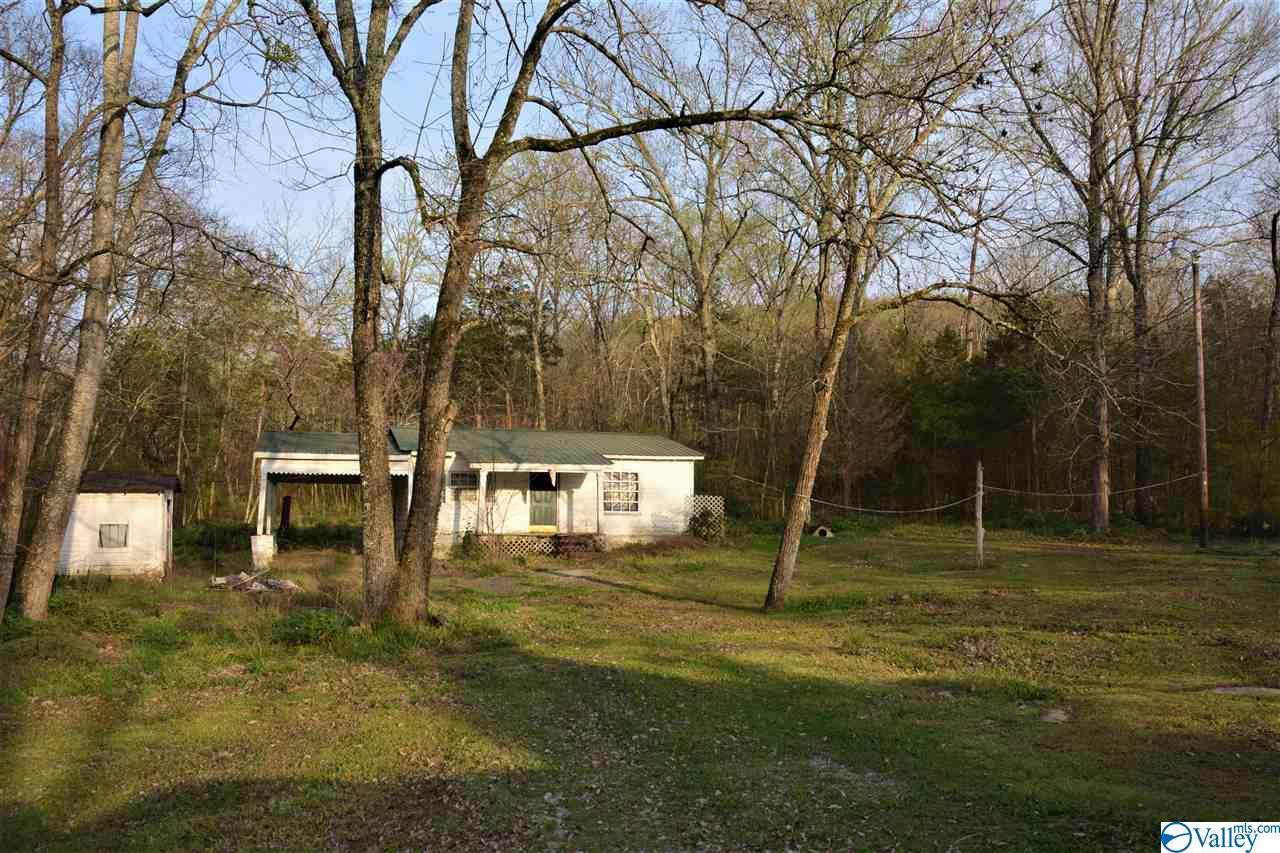 0 Longhollow Road - Photo 1