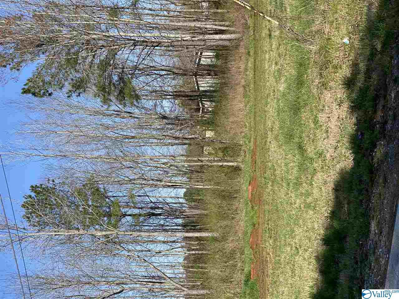 0 Scott Road - Photo 1