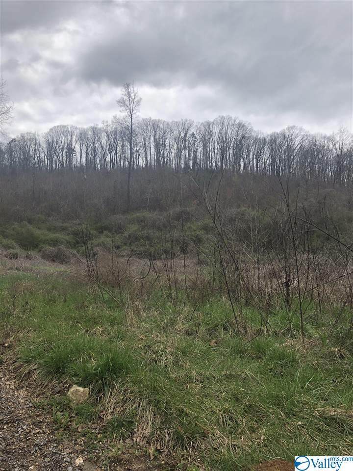 0 Conley Road - Photo 1