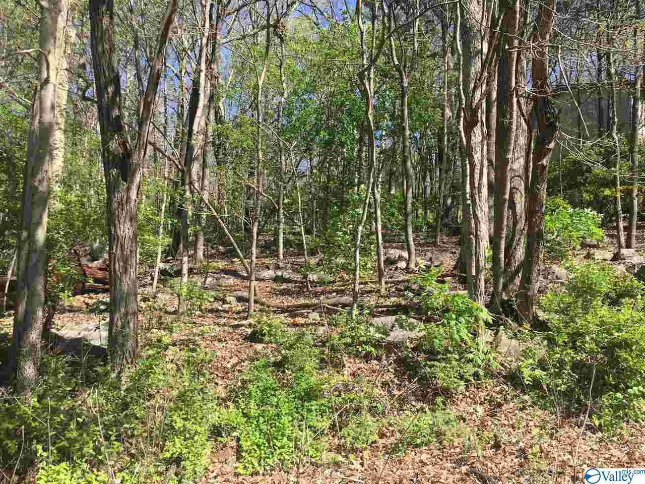 2108 Orba Drive - Photo 1