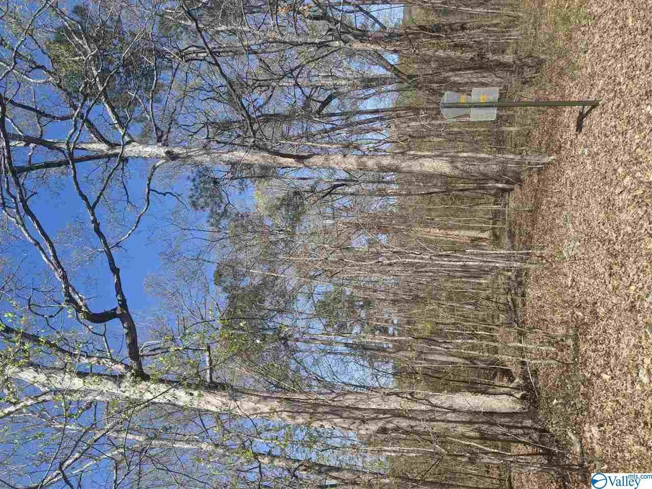 Lot 35 County Road 249 - Photo 1