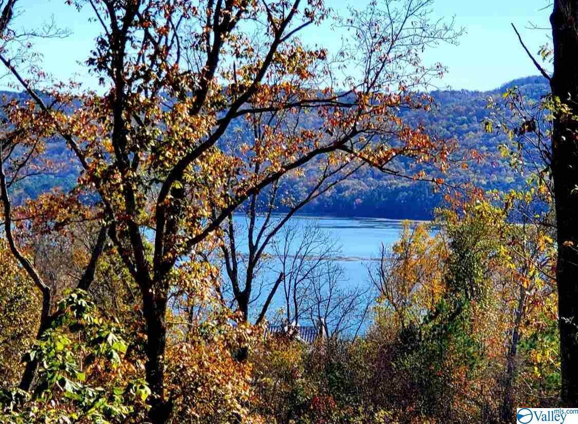 1892 Lookout Mountain Drive - Photo 1