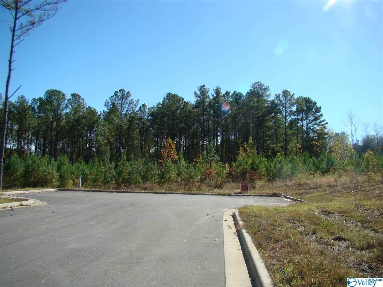 Woodhurst Drive - Photo 1
