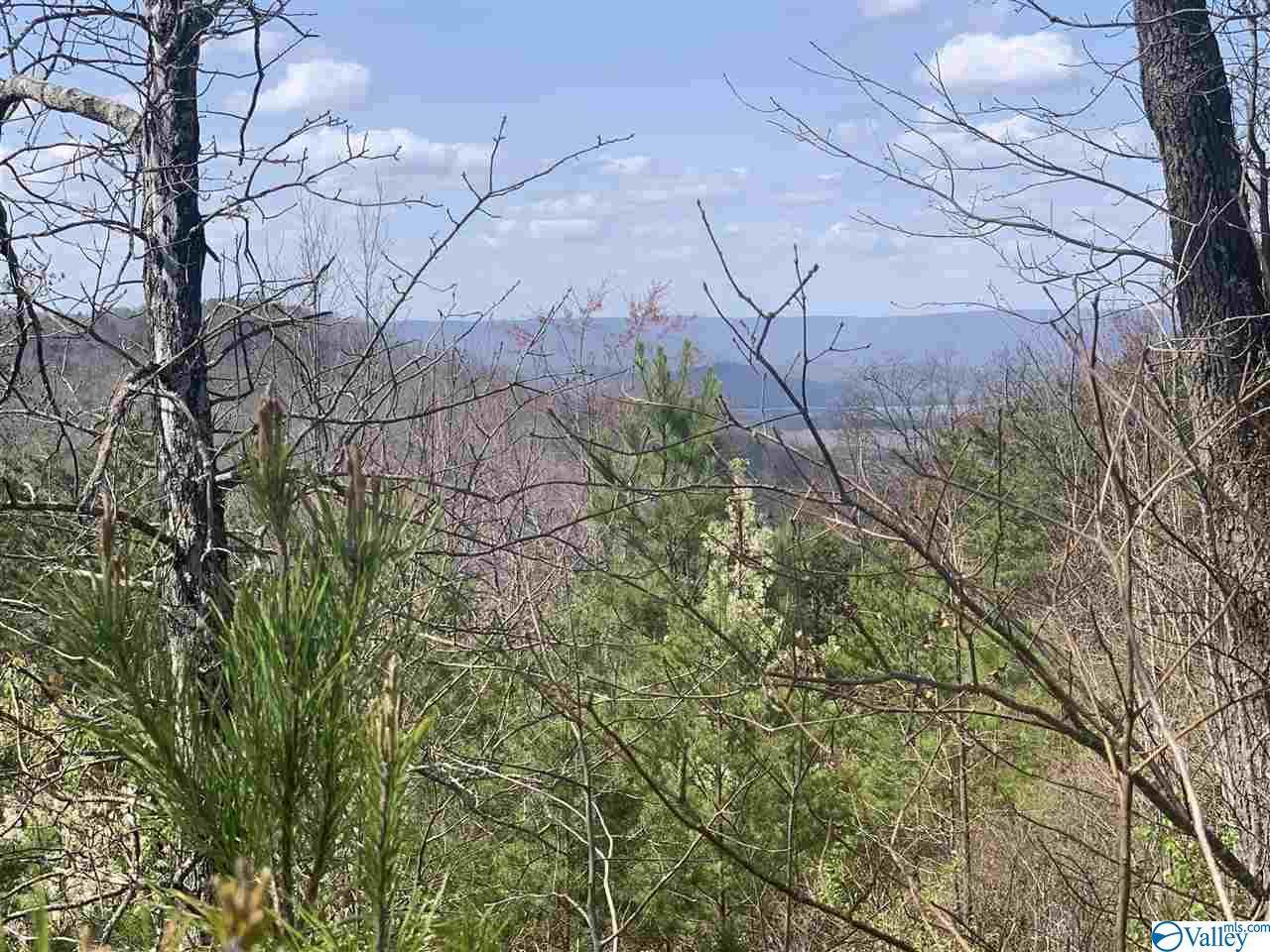 0 County Road 818 - Photo 1