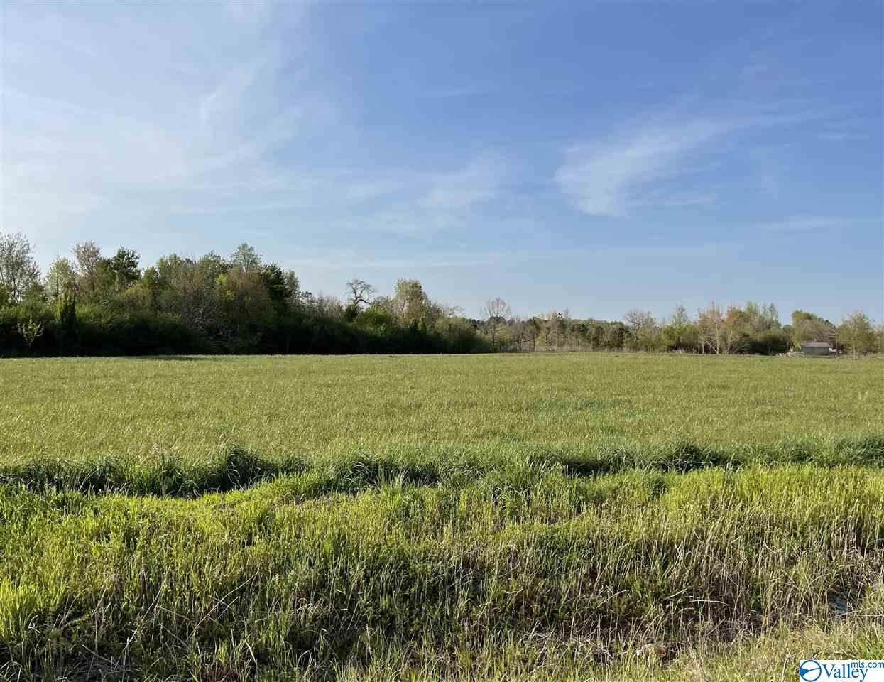 337 County Road 357 - Photo 1