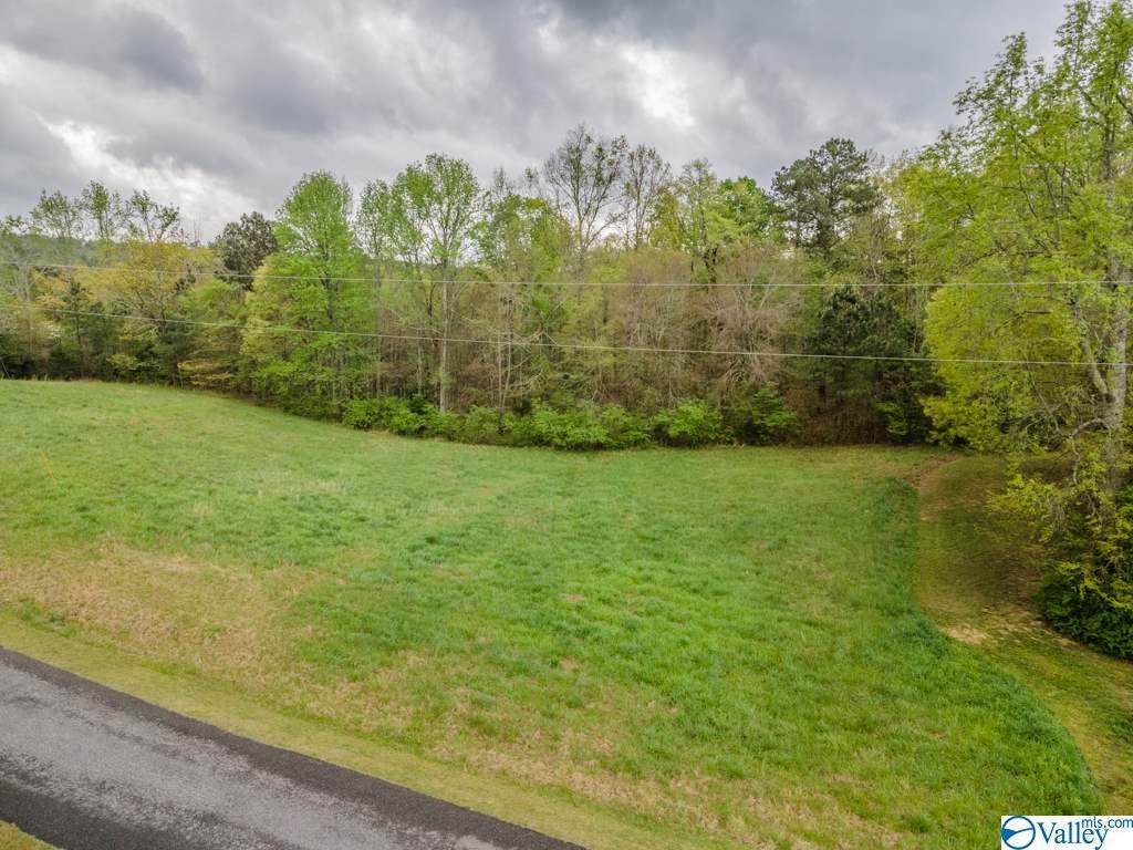 LOT 7 Allison Drive - Photo 1