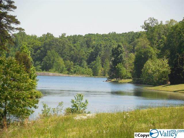 3705 Timberlake Court - Photo 1