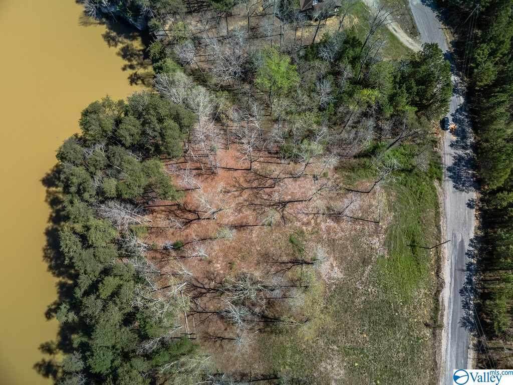 Lot 29 Highland Shores - Photo 1