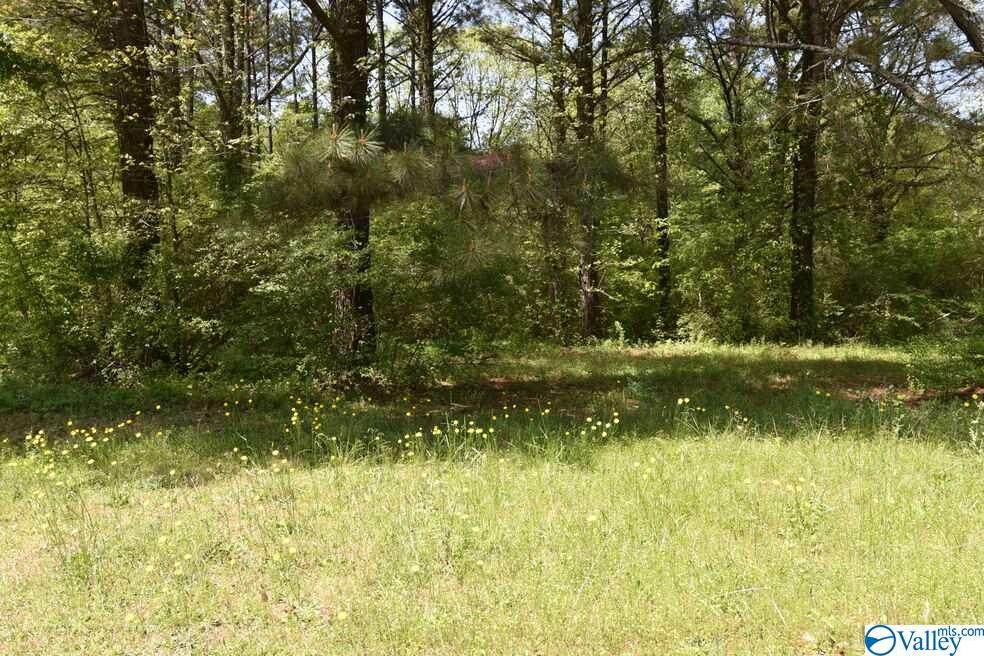 0 Preston Cove Road - Photo 1