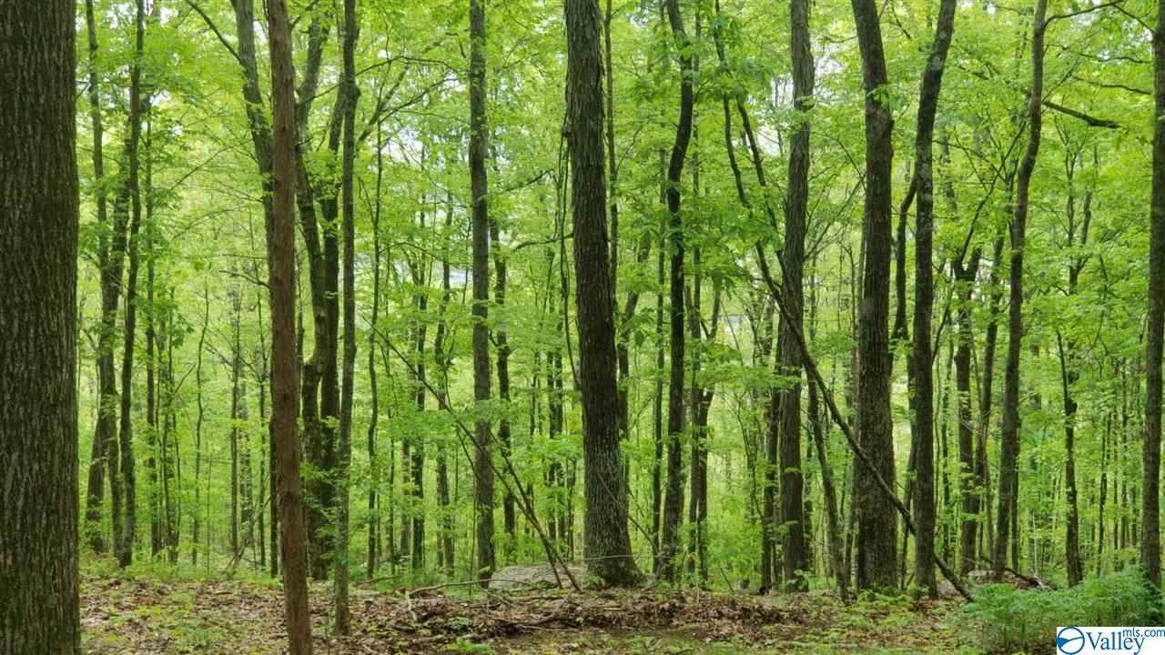 0 County Lake Road - Photo 1
