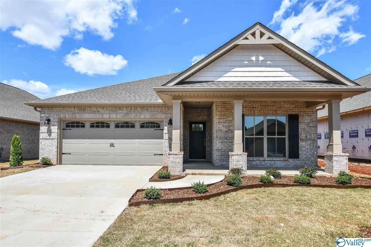29851 Copperpenny Drive - Photo 1