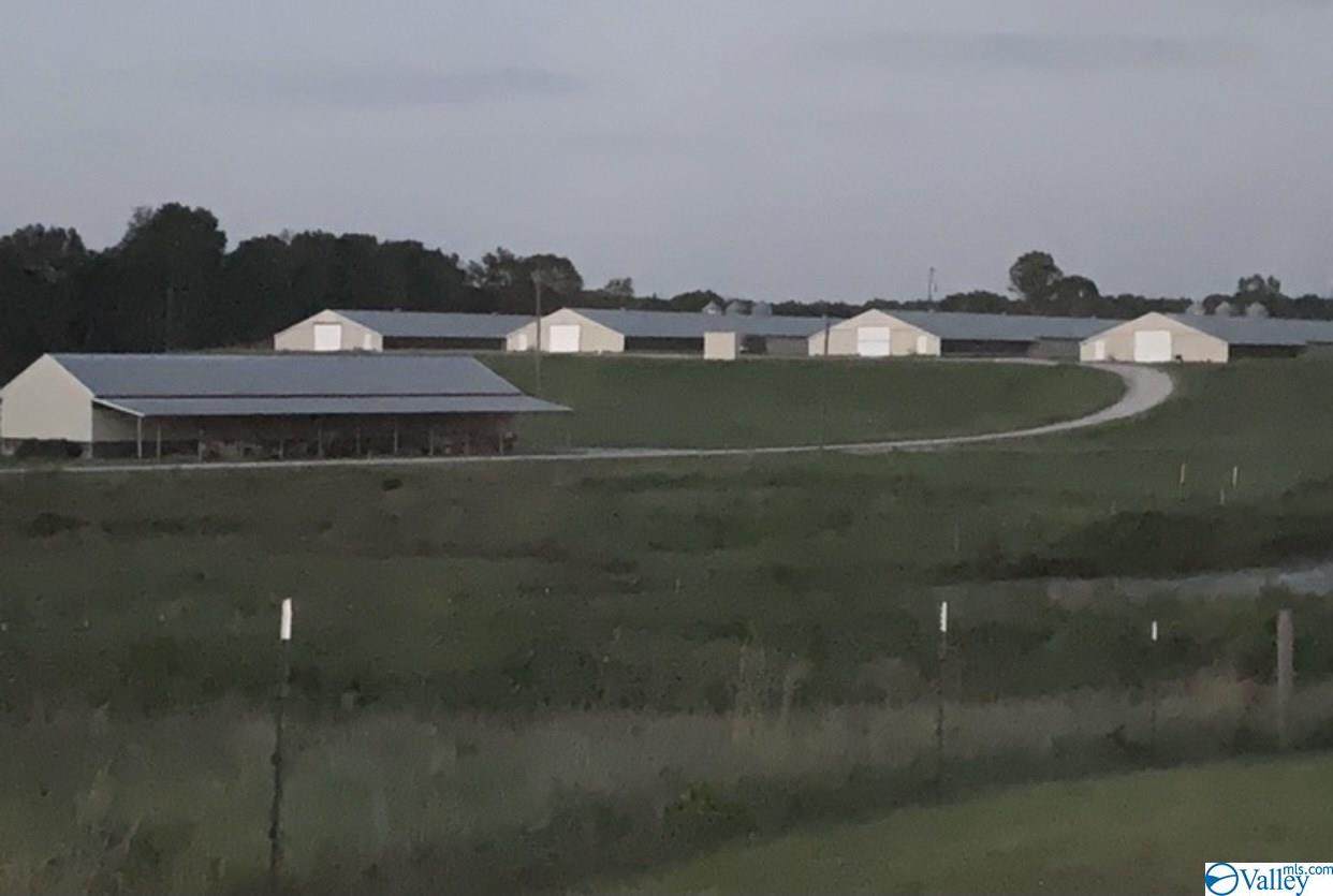 784 County Road 162 - Photo 1