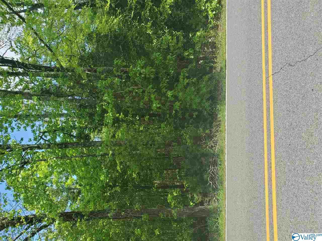 0 Mountain Home Road - Photo 1