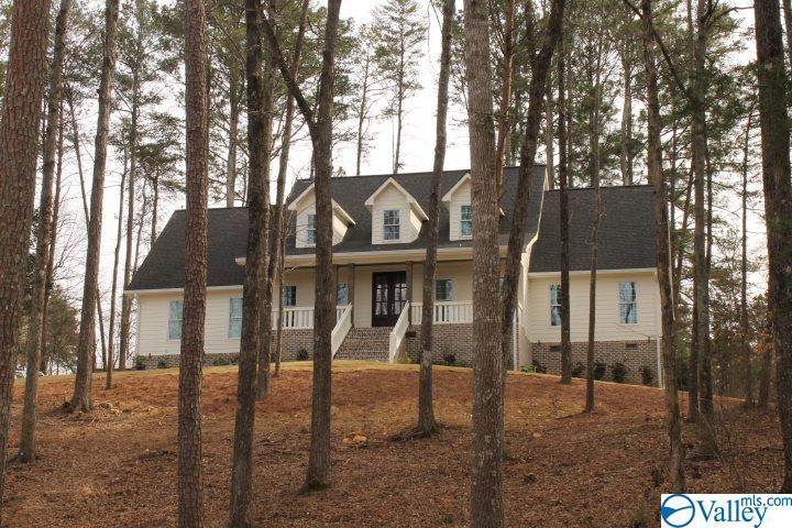 906 Alan Lane - Photo 1
