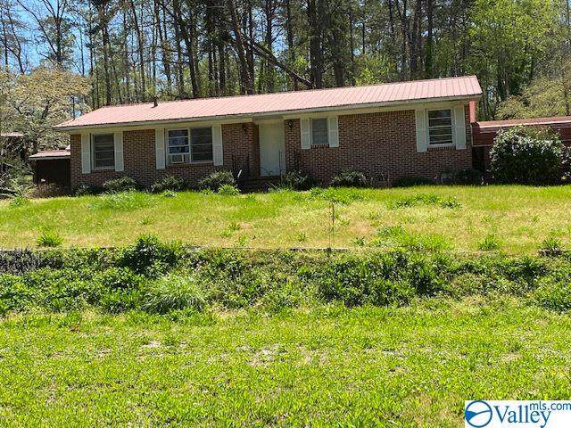 37776 County Road 49 - Photo 1