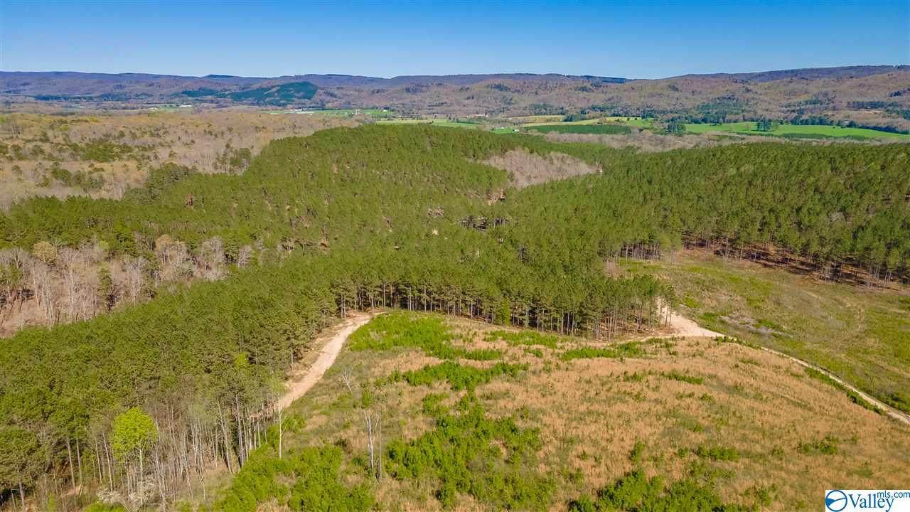 473 County Road 207 - Photo 1