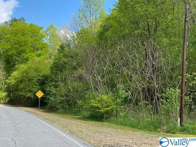 28165 Persimmon Tree Road - Photo 1