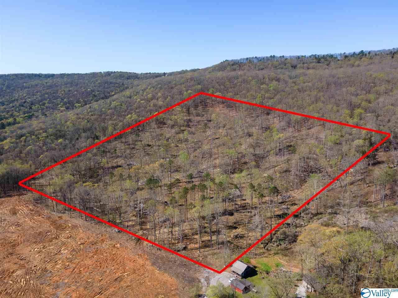 0 Worley Drive - Photo 1