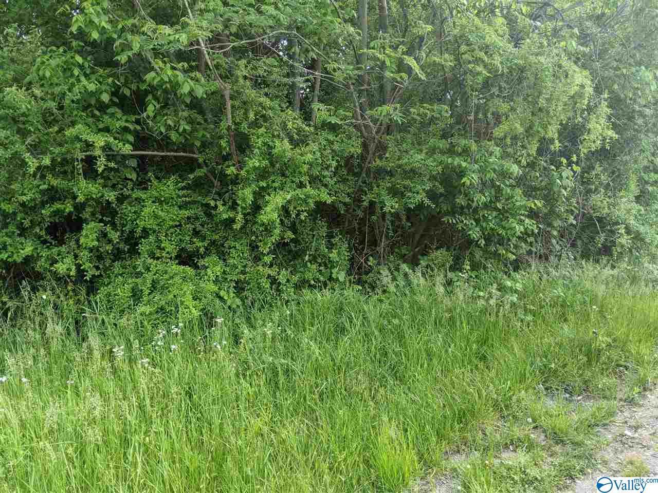 Coosa Street - Photo 1