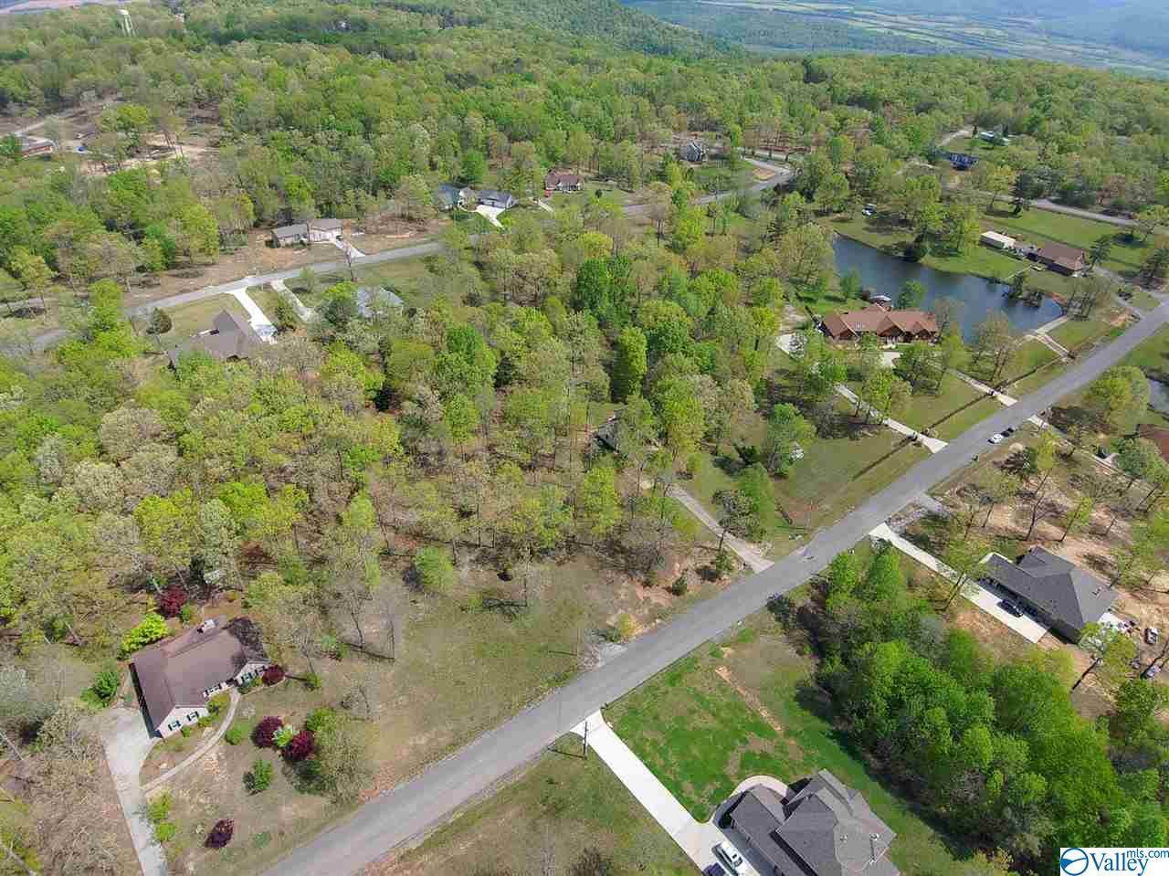 113 Hillsdale Drive - Photo 1