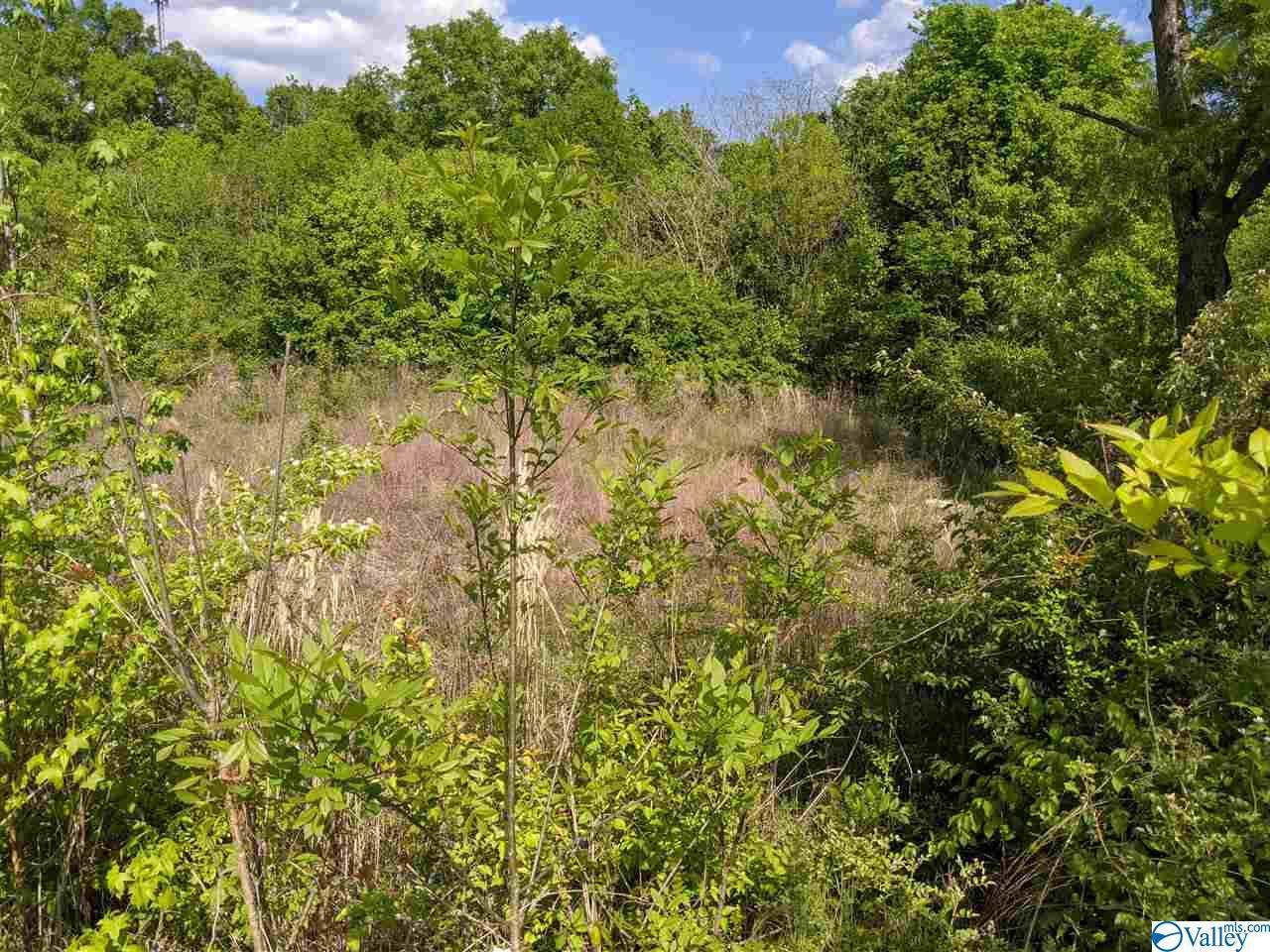 Brown Avenue - Photo 1