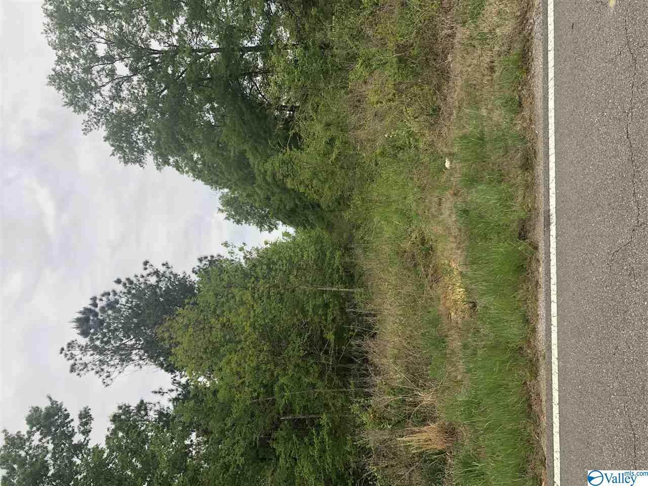 County Road 45 - Photo 1
