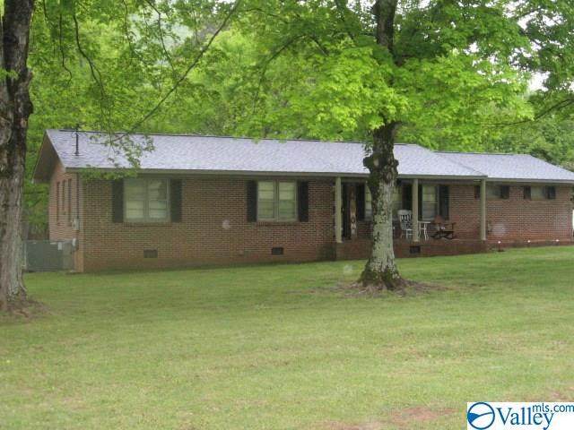 1618 Dug Hill Road - Photo 1