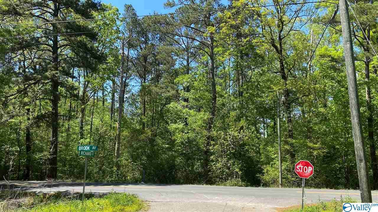 Brooke Avenue - Photo 1