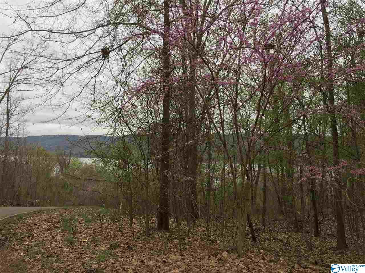 0 Monte Sano Drive - Photo 1