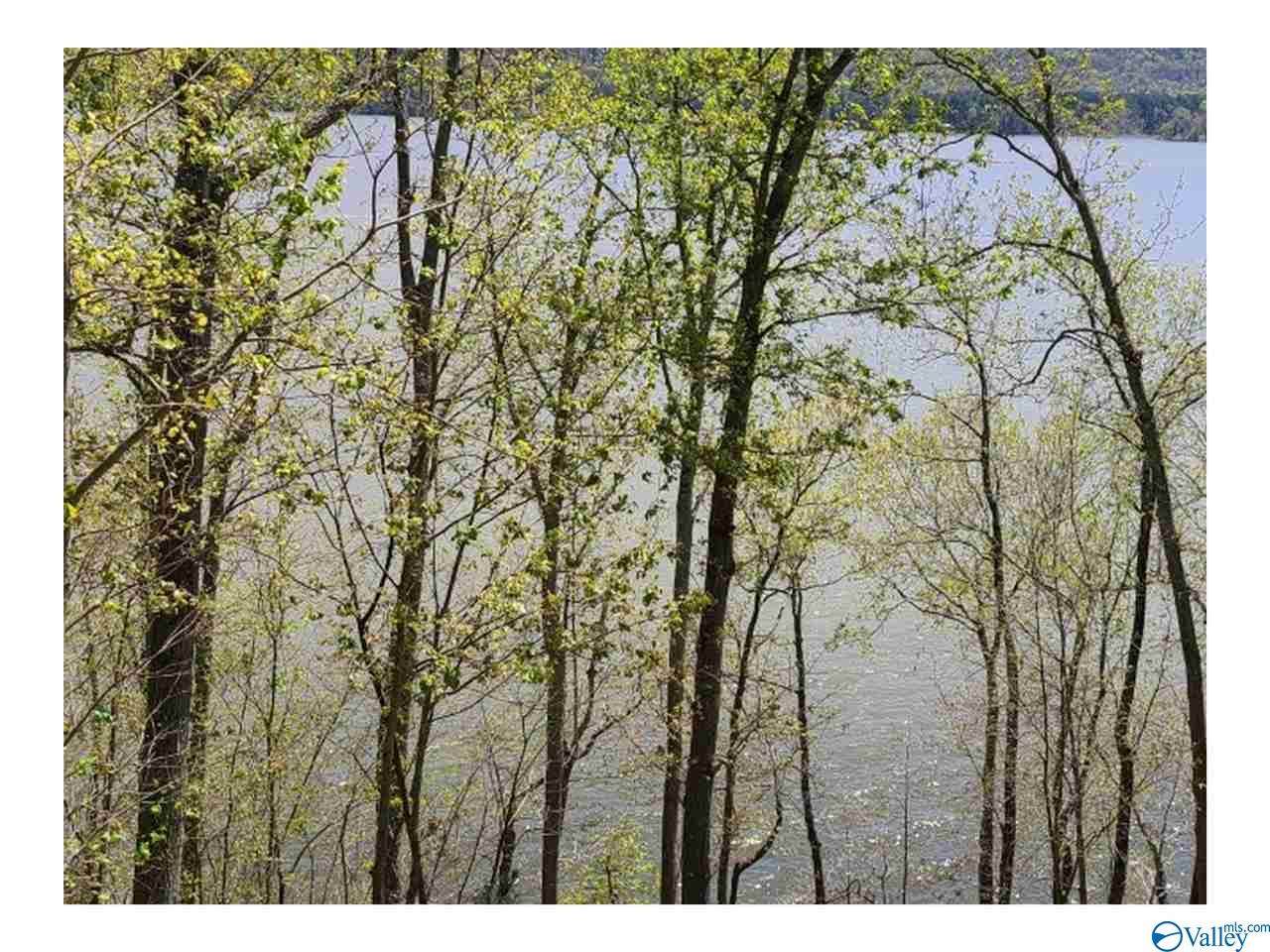 745 Monte Sano Drive - Photo 1
