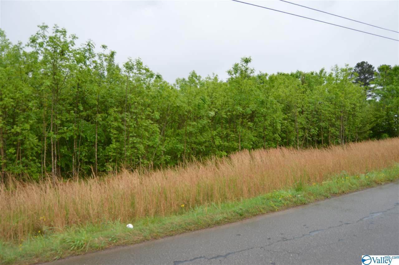 0 Maddox Road - Photo 1
