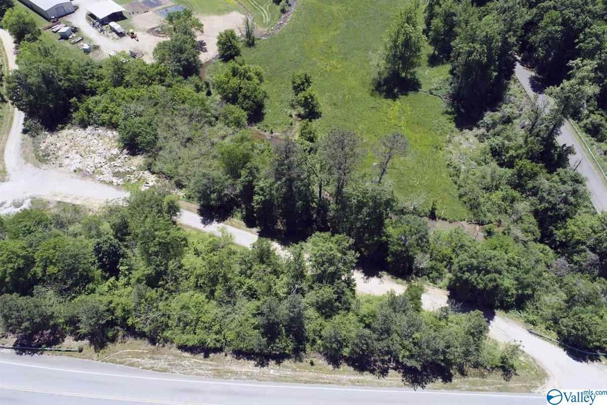 650 Black Creek Road - Photo 1