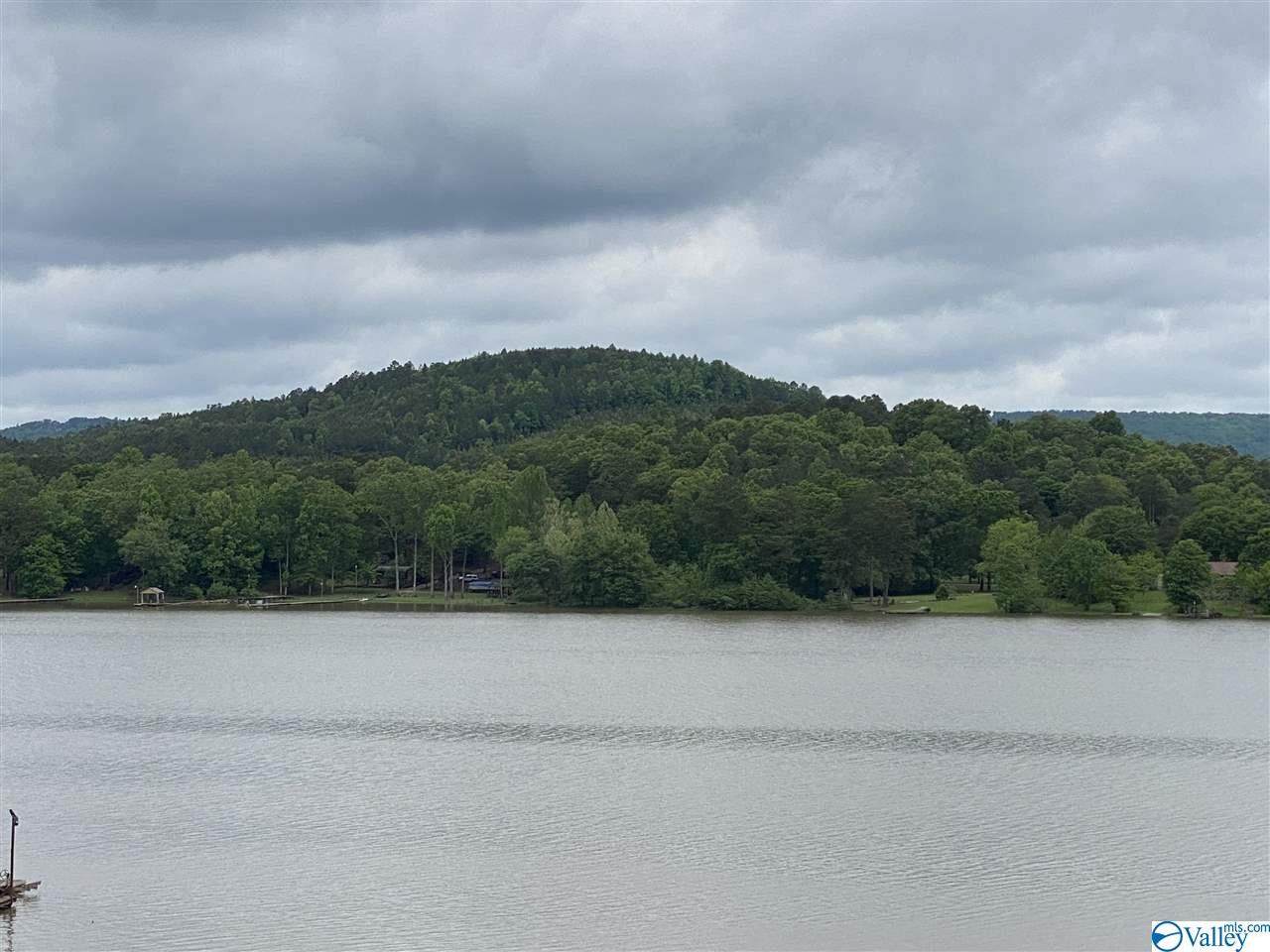 Lot 12 County Road 104 - Photo 1